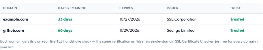 Step 2 — SSL Certificate Batch Checker result